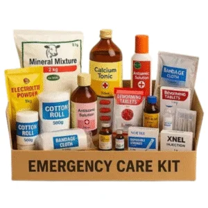 Nutrition and Health