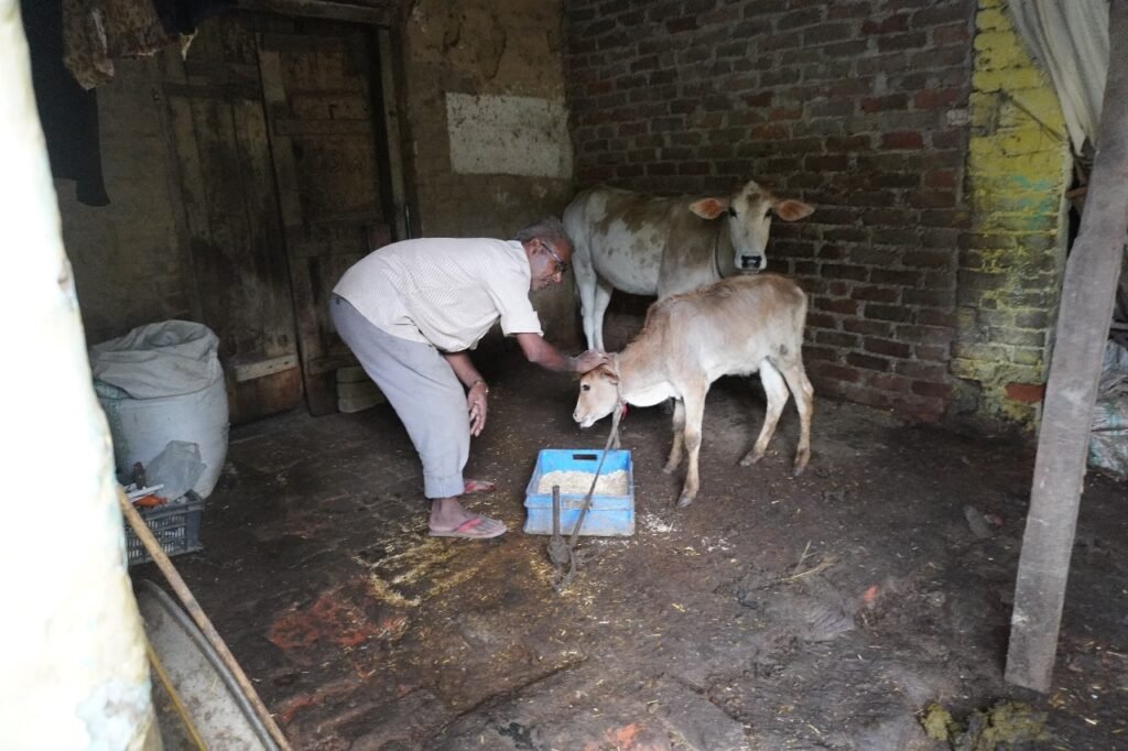 Protecting Cows, Empowering Villages: Uttarakhand’s Gaurakshak Movement