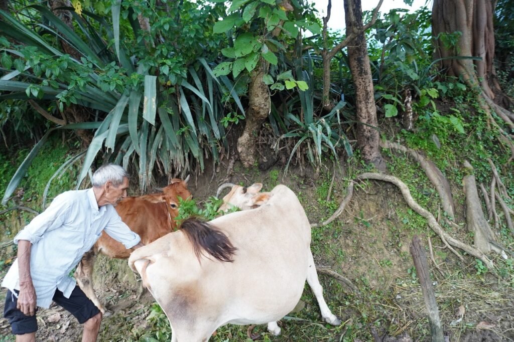 Protecting Cows, Empowering Villages: Uttarakhand’s Gaurakshak Movement