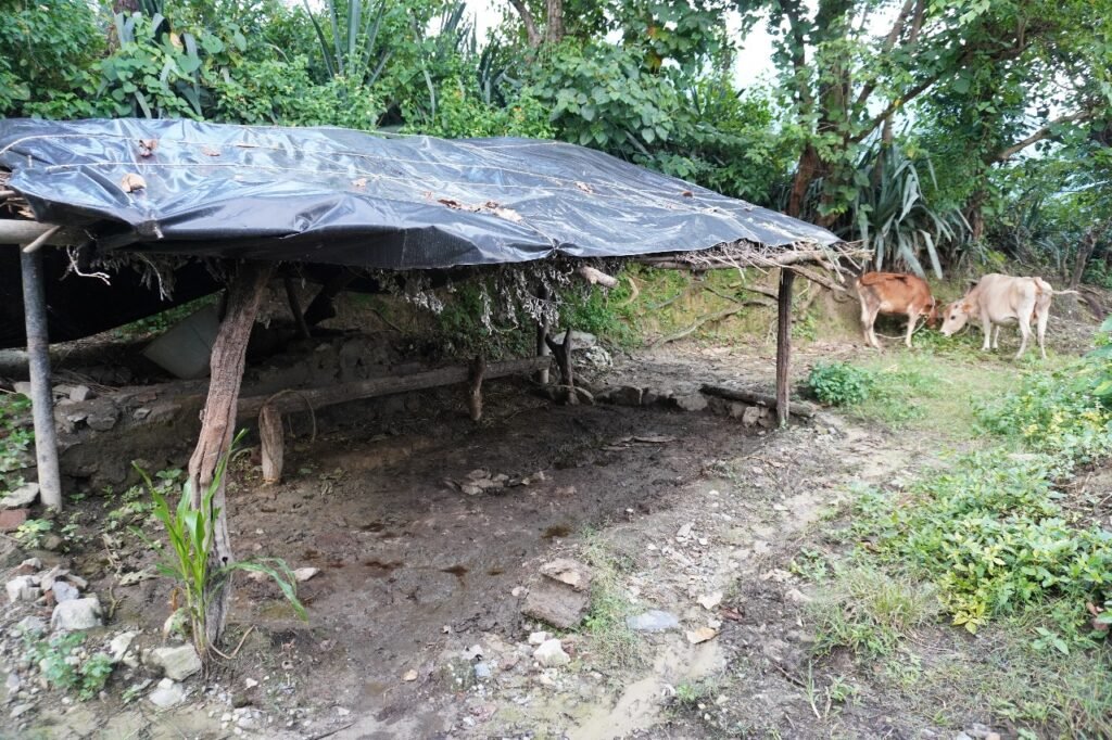 Protecting Cows, Empowering Villages: Uttarakhand’s Gaurakshak Movement